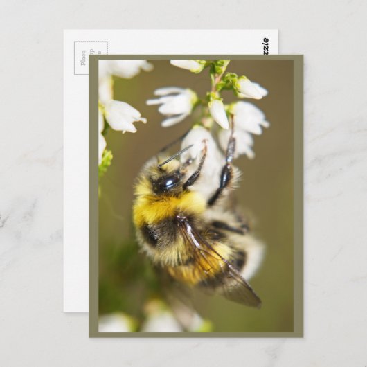 Lucky Bee Briefkaart (Voorkant / Achterkant)