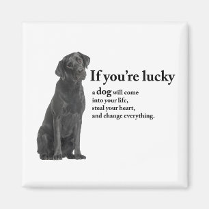 Lucky Black Lab Magneet