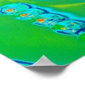 "Lucky Buddha Poster" Poster (Hoek)