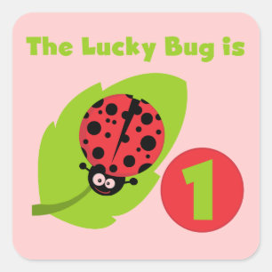 Lucky Bug 1e verjaardag T-shirts en geschenken Vierkante Sticker