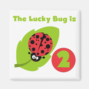 Lucky Bug 2e verjaardag T-shirts en geschenken Magneet