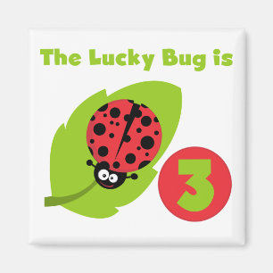 Lucky Bug 3e Verjaardag T shirten en geschenken Magneet