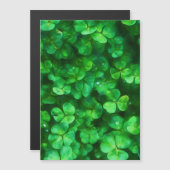 Lucky Celtic Irish Green Shamrocks (Voorkant / Achterkant)