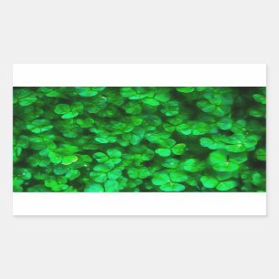Lucky Celtic Irish Green Shamrocks Rechthoekige Sticker