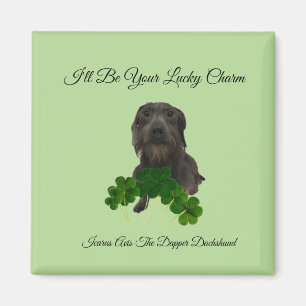 Lucky Charm Magnet Magneet