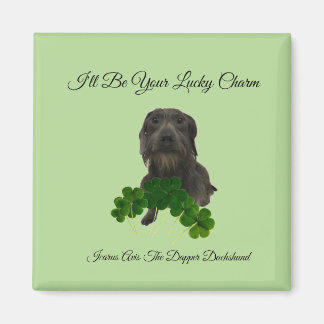 Lucky Charm Magnet Magneet