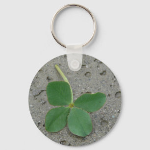 Lucky Charm Vier Leaf Clover-foto Sleutelhanger