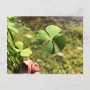 Lucky Day Briefkaart