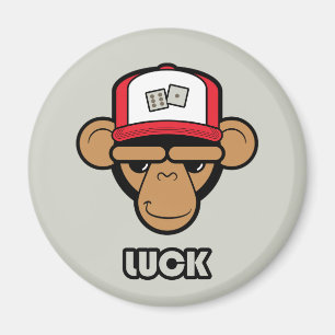 Lucky dice magnet magneet