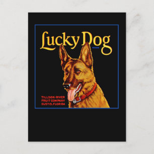 Lucky Dog Briefkaart
