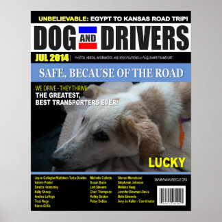 Lucky - Dog en driver Poster
