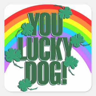 Lucky Dog en Rainbow St. Patrick's Day Vierkante Sticker