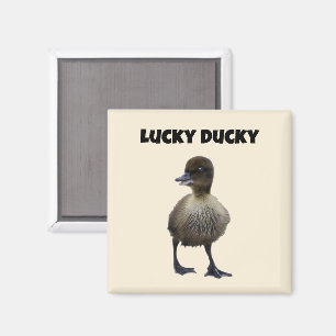 Lucky Duck Funny Schattige Duckling Bird Fotokunst Magneet