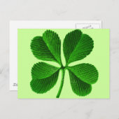 Lucky Four Leaf Clover Briefkaart (Voorkant / Achterkant)