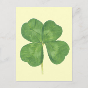 Lucky Four-Leaf Clover Shamrock Briefkaart