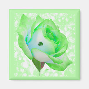 Lucky Green Roos, knop Magneet