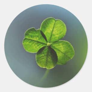 Lucky Green Vierbladige Klaver Ronde Sticker