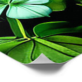 Lucky Hoefijzer en Clover Design Poster (Hoek)