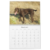 Lucky Hounds Labrador Retriever Agenda 2013 Kalender (Mar 2027)