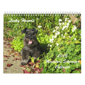 Lucky Hounds Miniatuur Schnauzer Calendar 2013 Kalender