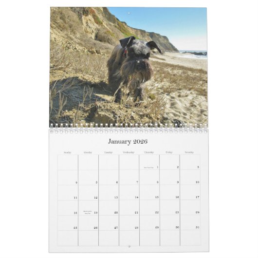 Lucky Hounds Miniatuur Schnauzer Calendar 2013 Kalender (Jan 2026)