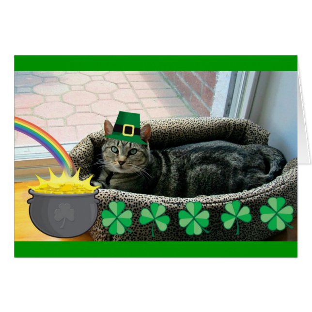 Lucky Irish Indigo (Devant horizontal)