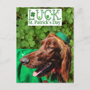 Lucky Irish Setter St. Patrick's Day Briefkaart