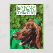 Lucky Irish Setter St. Patrick's Day Briefkaart (Voorkant)