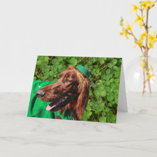 Lucky Irish Setter St. Patrick's Day Wenskaart Kaart (Gele Bloem)