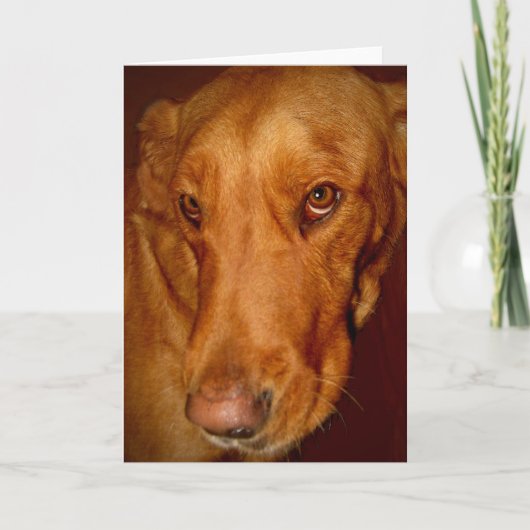 Lucky Kaart (Voorkant)