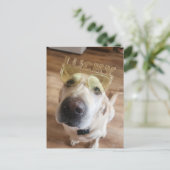 Lucky Lab Feestdagenkaart (Staand voorkant)