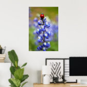 Lucky Lady Bugs Poster (Thuiskantoor)