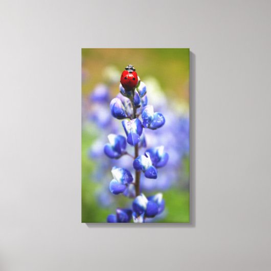 Lucky Lady Canvas Afdruk (Voorkant)