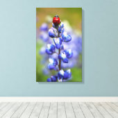 Lucky Lady Canvas Afdruk (Insitu (Houten vloer))