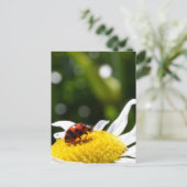 Lucky Ladybug Briefkaart (Staand voorkant)