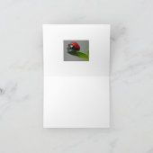 Lucky Ladybug Kaarten (Binnen)