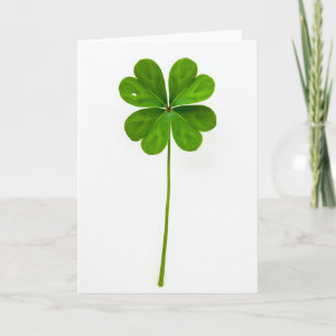Lucky Leaf Clover Kunstkaart Kaart