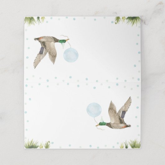 Lucky Mallard Duck Boy Verjaardag Food Tent (Buitenkant ongevouwen)