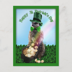 Lucky Meerkat met gouden vlek op Patrick's Day Briefkaart