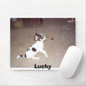 Lucky Muismat (Met muis)