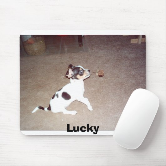 Lucky Muismat (Met muis)