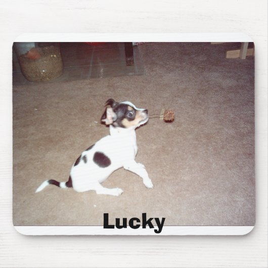 Lucky Muismat (Voorkant)