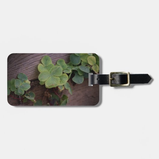 Lucky of vastberaden? Saint Patricks Day Shamrocks Bagagelabel (Voorkant horizontaal)