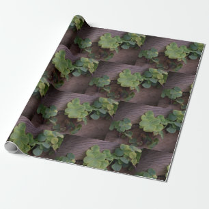 Lucky of vastberaden? Saint Patricks Day Shamrocks Cadeaupapier