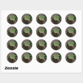 Lucky of vastberaden? Saint Patricks Day Shamrocks Ronde Sticker (Vel)