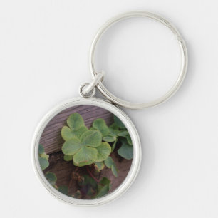 Lucky of vastberaden? Saint Patricks Day Shamrocks Sleutelhanger