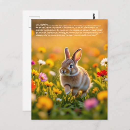 Lucky Rabbit Foot Briefkaart (Voorkant / Achterkant)