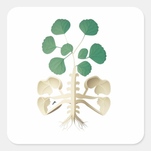 Lucky Shamrock St Patrick's Day Vierkante Sticker (Voorkant)