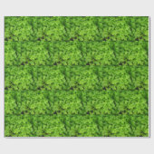 "Lucky Shamrocks!" Cadeaupapier (Vlak)