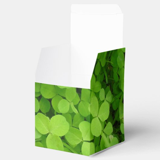 Lucky Shamrocks. Vierbox Bedankdoosjes (Geopend)